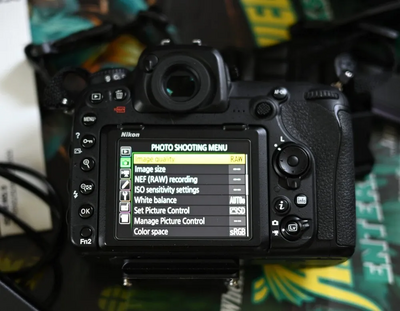 Nikon D500 Image