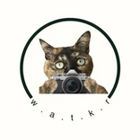 Nikon D700 Image