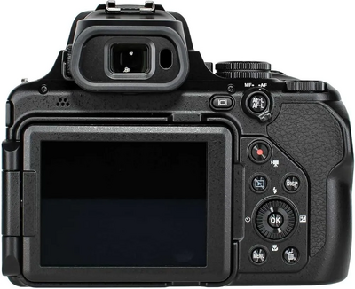 Nikon COOLPIX P1100 Image