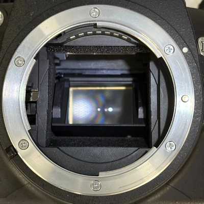 Nikon D40X Image