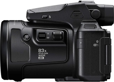 Nikon P950 Image