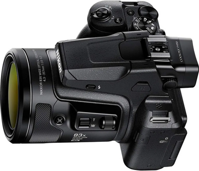 Nikon P950 Image