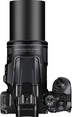 Nikon P950 Image