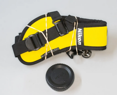 Nikon D7100 Image