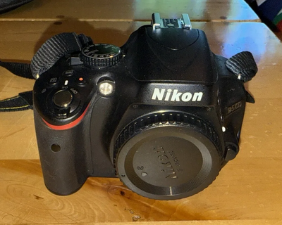 Nikon D5100 Image