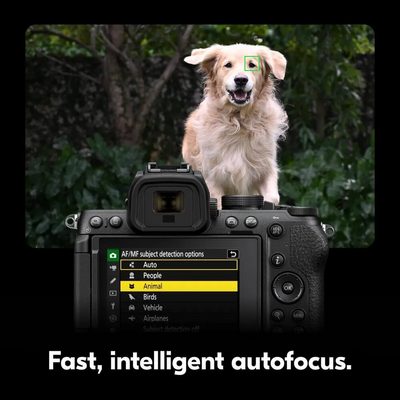 Nikon Z5 II Image