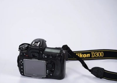 Nikon D300 Image