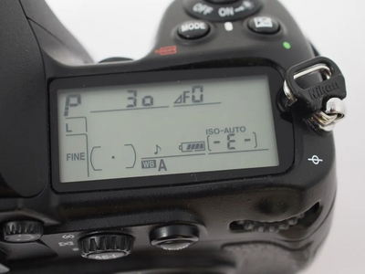 Nikon D300 Image