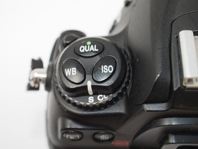 Nikon D300 Image