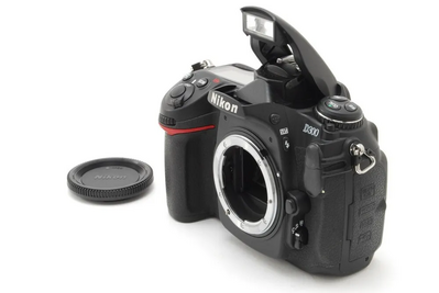 Nikon D300 Image