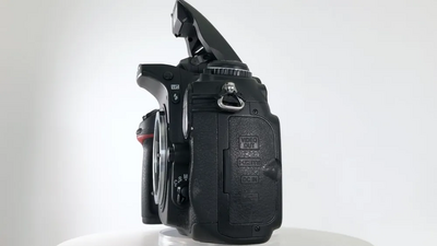 Nikon D300 Image