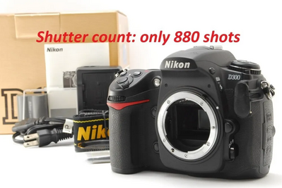 Nikon D300 Image