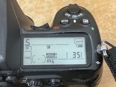 Nikon D300 Image