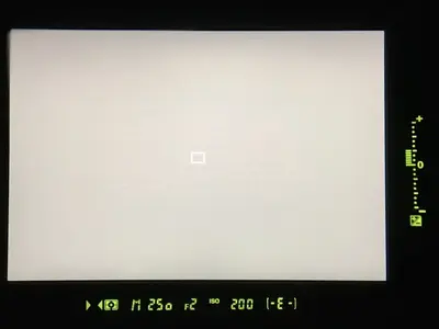 Nikon D3s Image