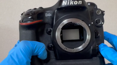 Nikon D4S Image