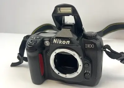 Nikon D100 Image