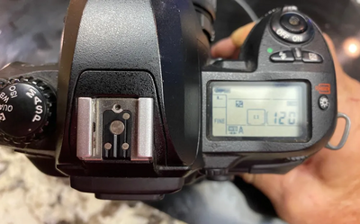 Nikon D100 Image