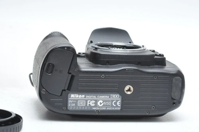 Nikon D100 Image