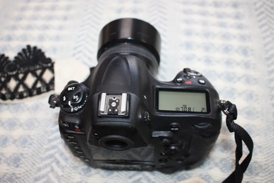 Nikon D4 Image