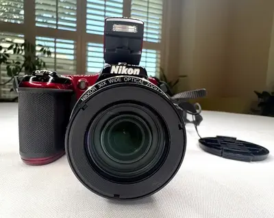 Nikon L820 Image