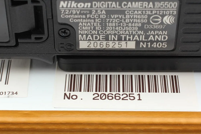 Nikon D5500 Image
