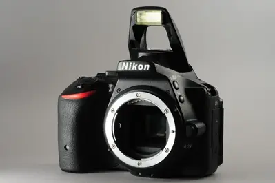 Nikon D5500 Image