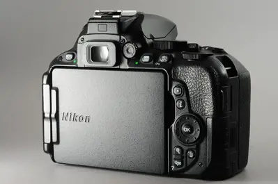 Nikon D5500 Image