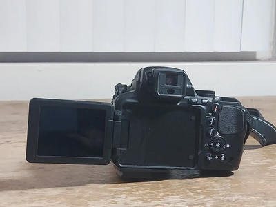 Nikon Coolpix P900 Image