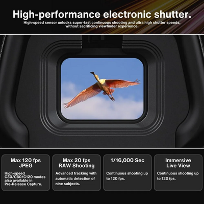 Nikon Z6III Image