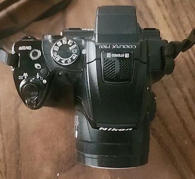 Nikon P500 Image