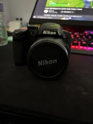 Nikon P510 Image