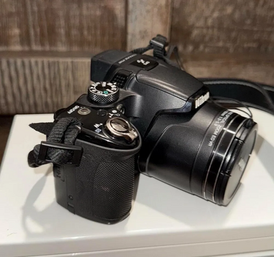 Nikon P510 Image