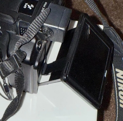 Nikon P510 Image