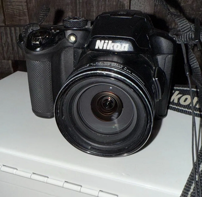 Nikon P510 Image