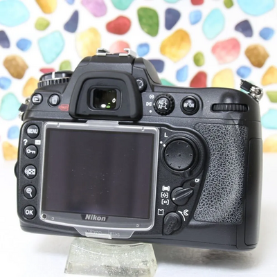 Nikon SLR Digital Image