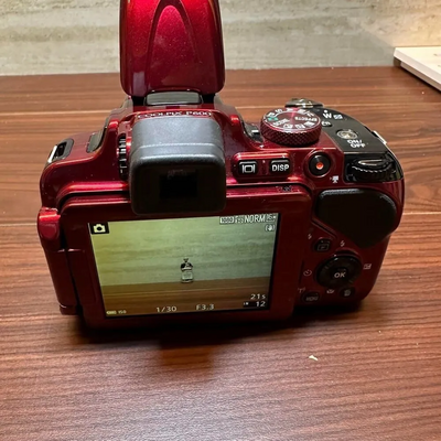 Nikon Coolpix P600 Image