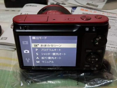 Nikon J2 Image