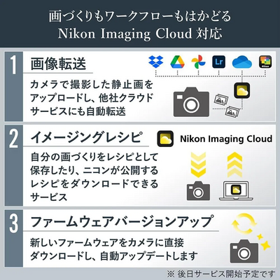 Nikon Z6 Image