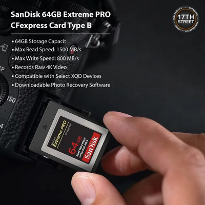 Nikon Z8 Image