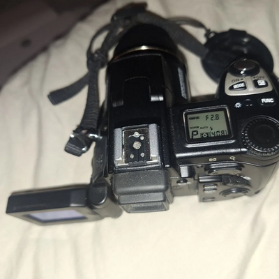 Nikon 5700 Image