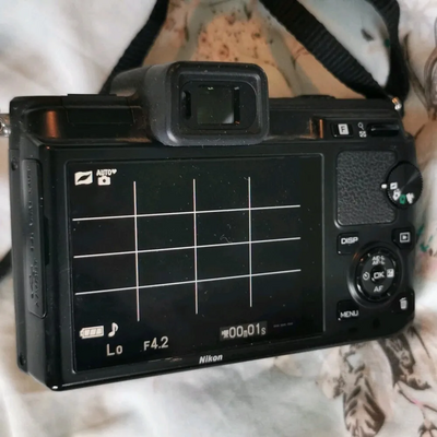 Nikon 1 v1 Image