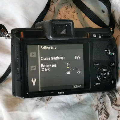 Nikon 1 v1 Image