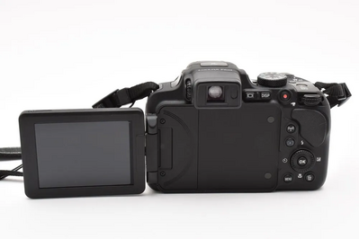 Nikon Coolpix P610 Image