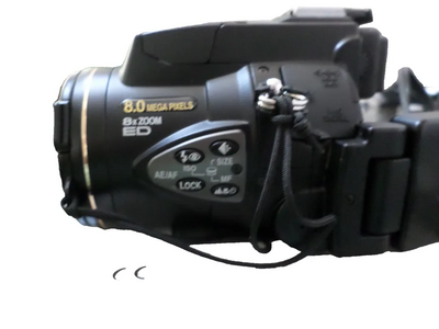 Nikon 8700 Image