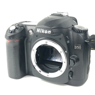 Nikon D33697 Image