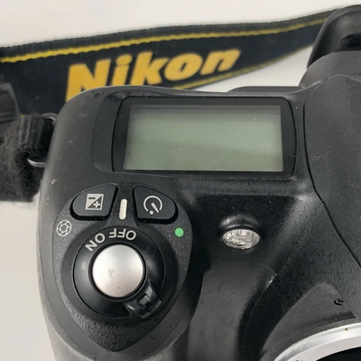 Nikon D33697 Image