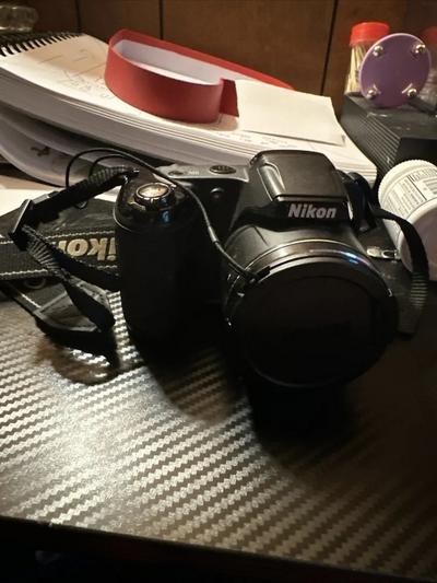 Nikon L320 Image