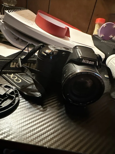 Nikon L320 Image