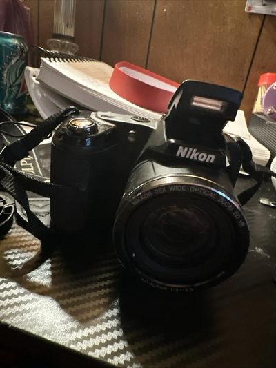 Nikon L320 Image