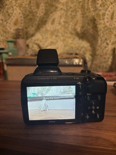 Nikon L320 Image